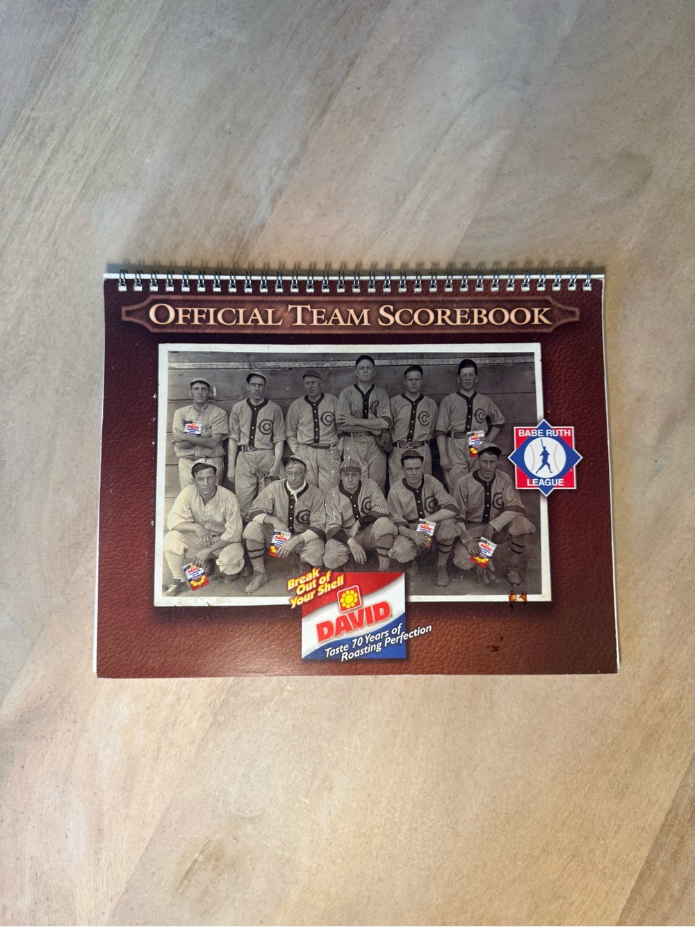 Babe Ruth League Official Team Scorebook - Baseball